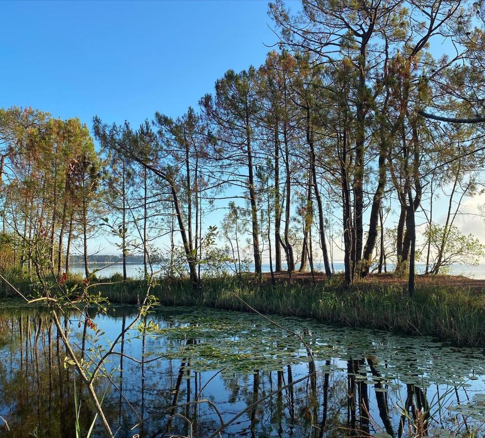 Apt Les Grands Pins, Entre Foret, Lac Et Ocean 카르캉 외부 사진