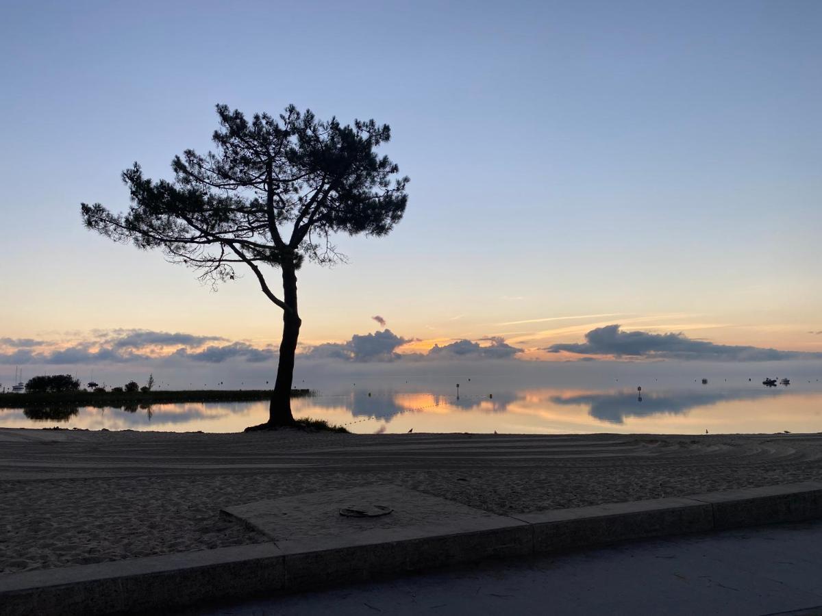 Apt Les Grands Pins, Entre Foret, Lac Et Ocean 카르캉 외부 사진