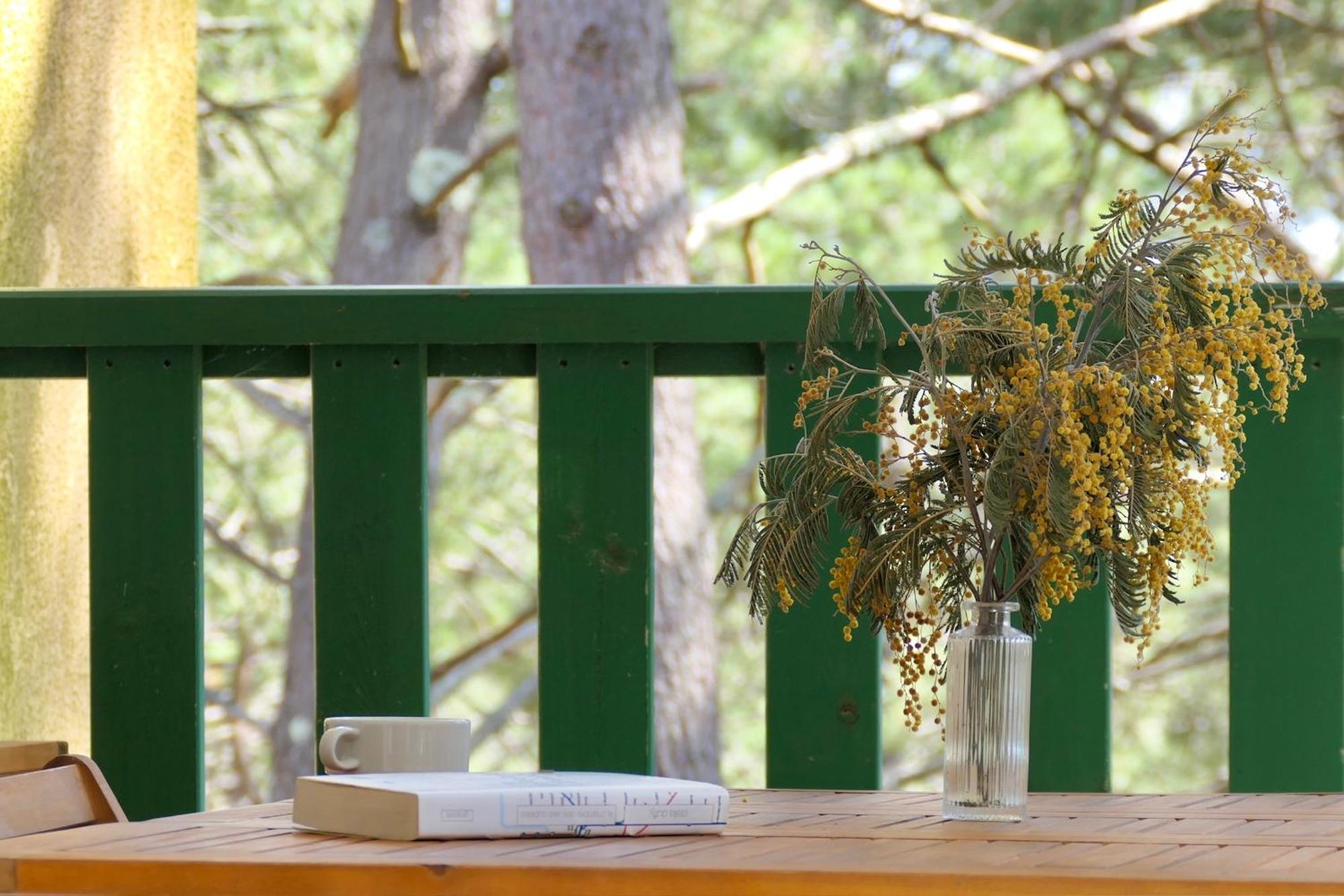 Apt Les Grands Pins, Entre Foret, Lac Et Ocean 카르캉 외부 사진