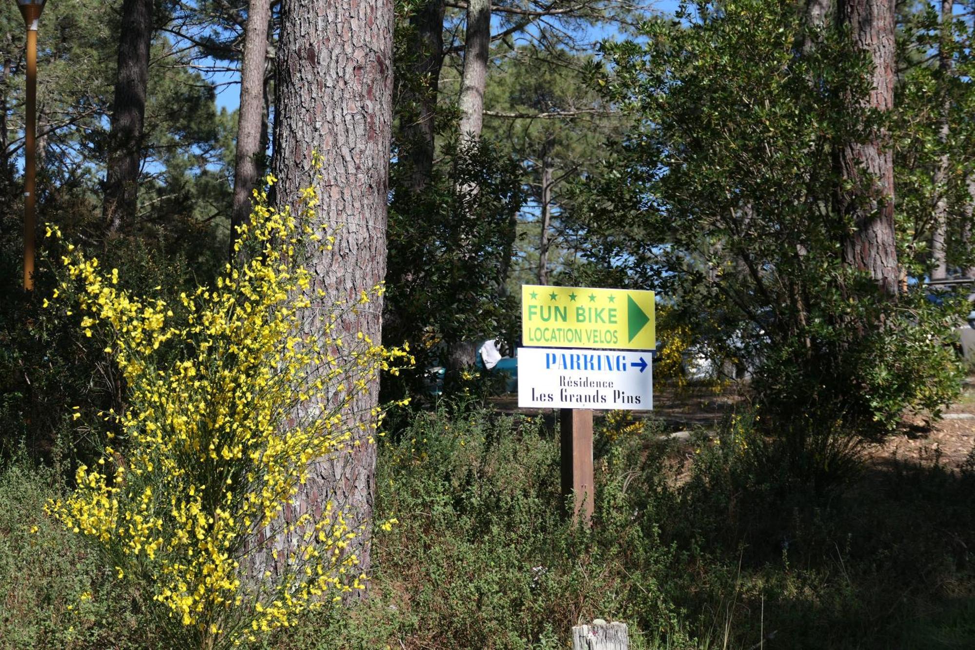 Apt Les Grands Pins, Entre Foret, Lac Et Ocean 카르캉 외부 사진